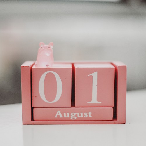 The image shows a pink desk calendar set to August 1, featuring a small pink hippopotamus figurine on top.