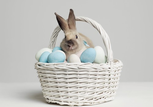 A bunny sits in a white basket filled with blue and white eggs, set against a plain background.