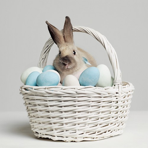 A bunny sits in a white basket filled with blue and white eggs, set against a plain background.